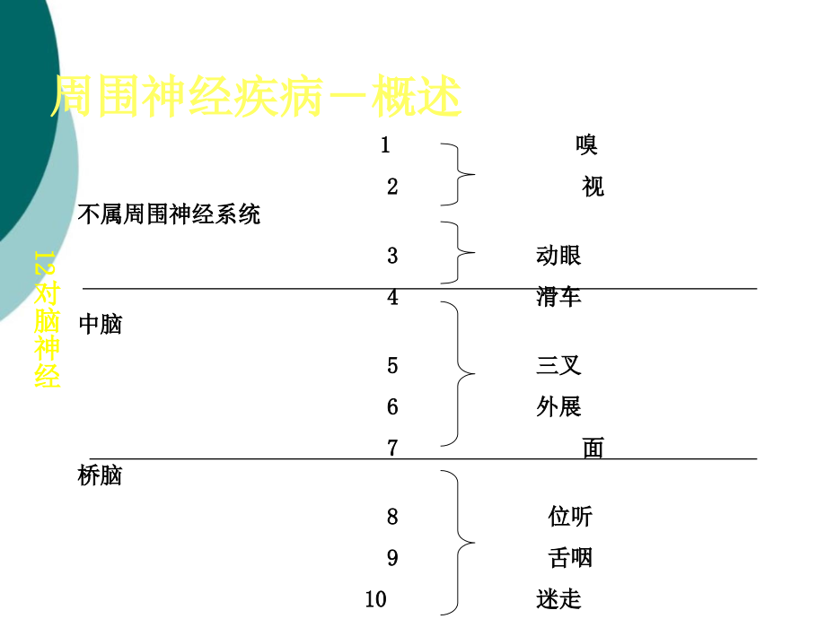 周围神经病1课件ppt_第4页