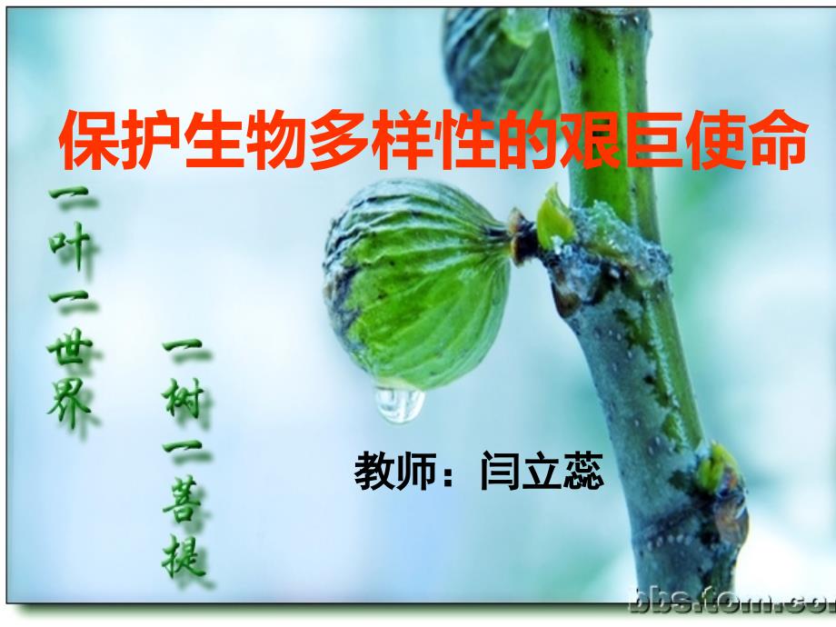 保护生物多样性的艰巨及使命课件说课讲解_第2页