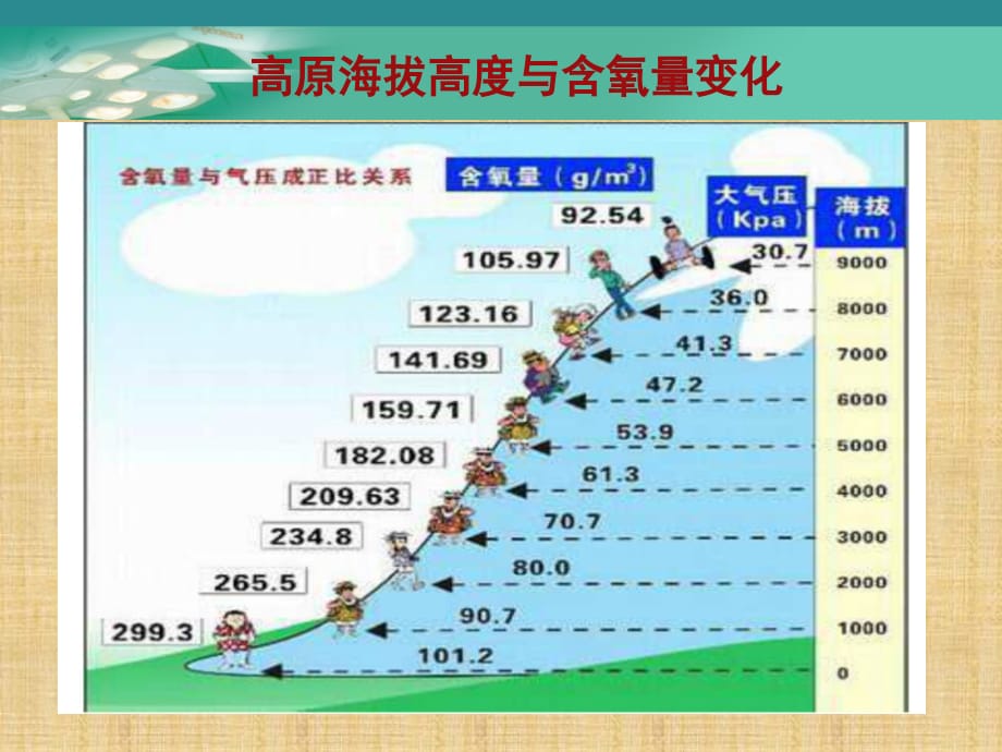 高原反应的防治精编版_第2页