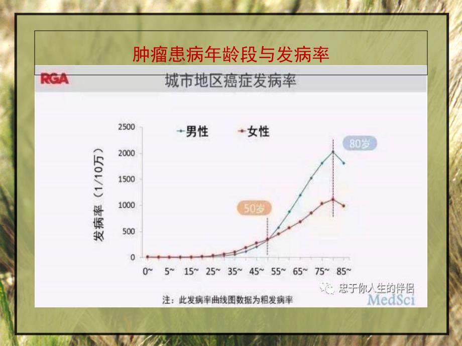 癌症肿瘤防治科普知识--杨海忠教学内容_第4页