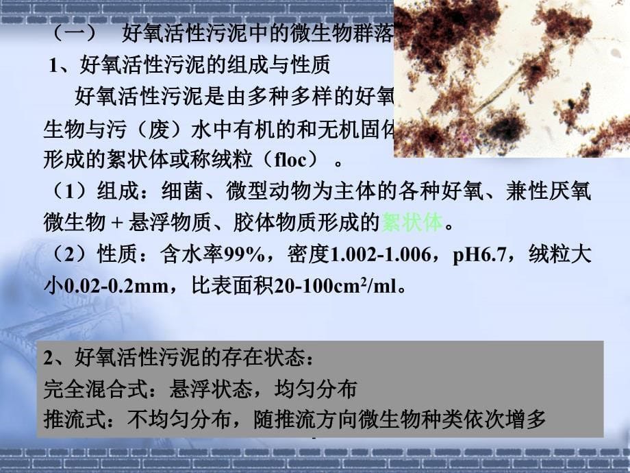 环境微生物学第九章ppt课件_第5页