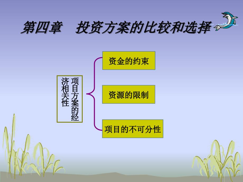 4 项目方案的比较和选择(2020年整理).ppt_第1页