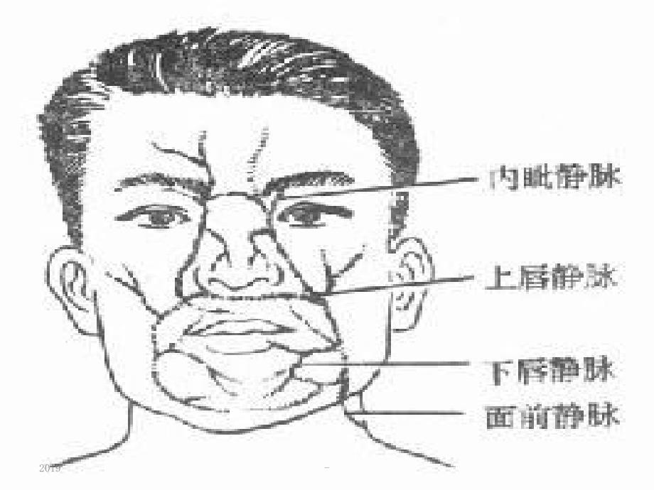 第章第、节皮肤及皮肤下组织疾病ppt课件_第4页