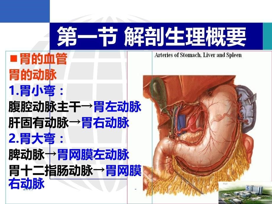 胃十二指肠的ppt课件_第5页