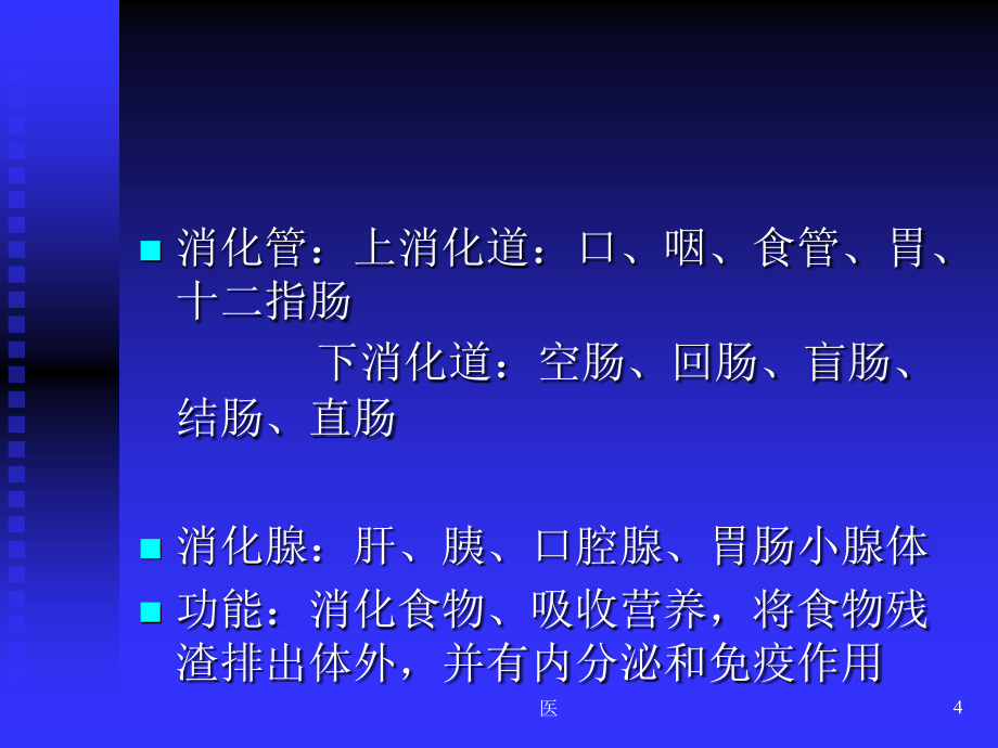 《人体解剖学》消化系统PPT演示课件_第4页