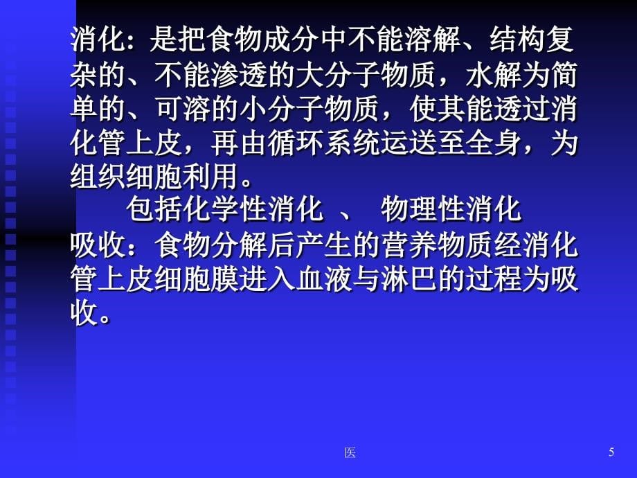 《人体解剖学》消化系统PPT演示课件_第5页