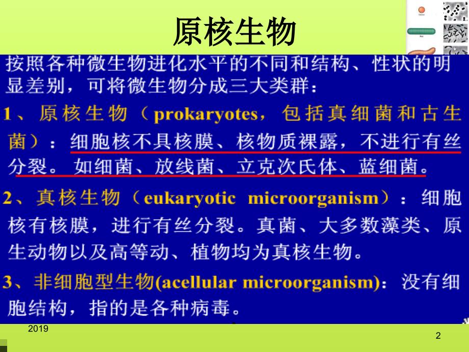 第二章细菌ppt课件_第2页