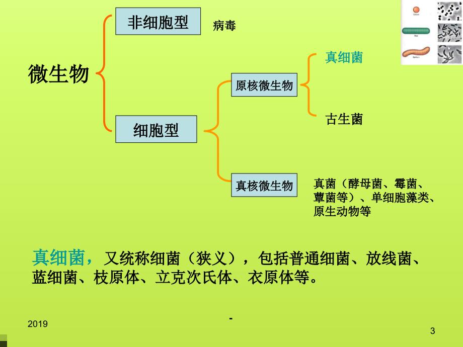 第二章细菌ppt课件_第3页