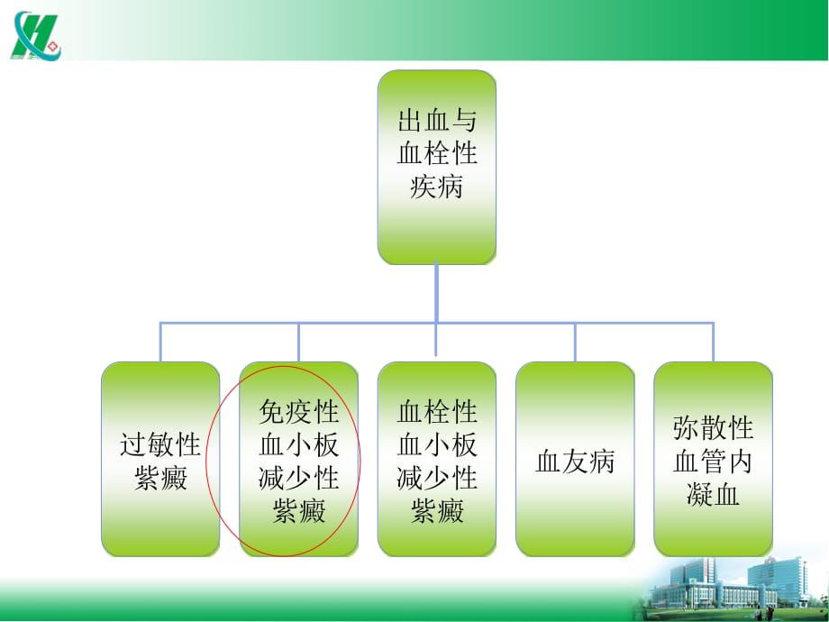 血液科常见疾病治疗方案ppt课件_第3页