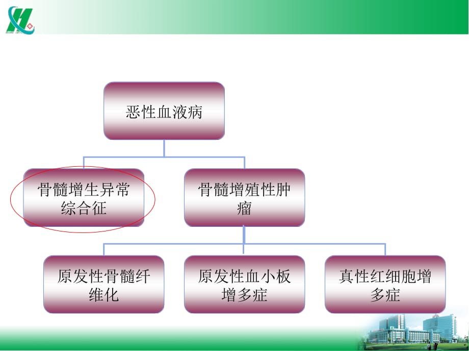 血液科常见疾病治疗方案ppt课件_第4页