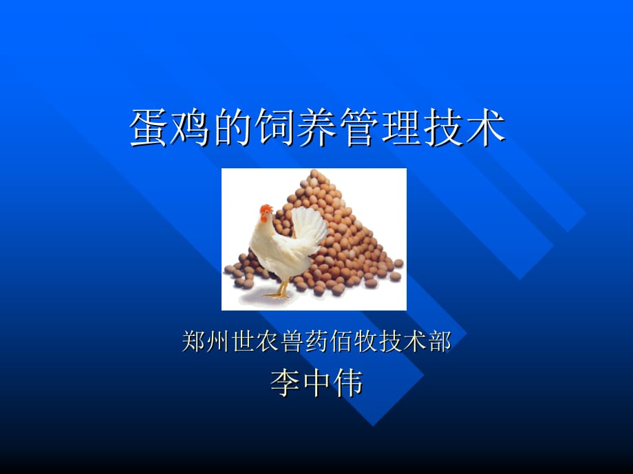 蛋鸡的饲养管理技术(xiugai).培训课件_第1页