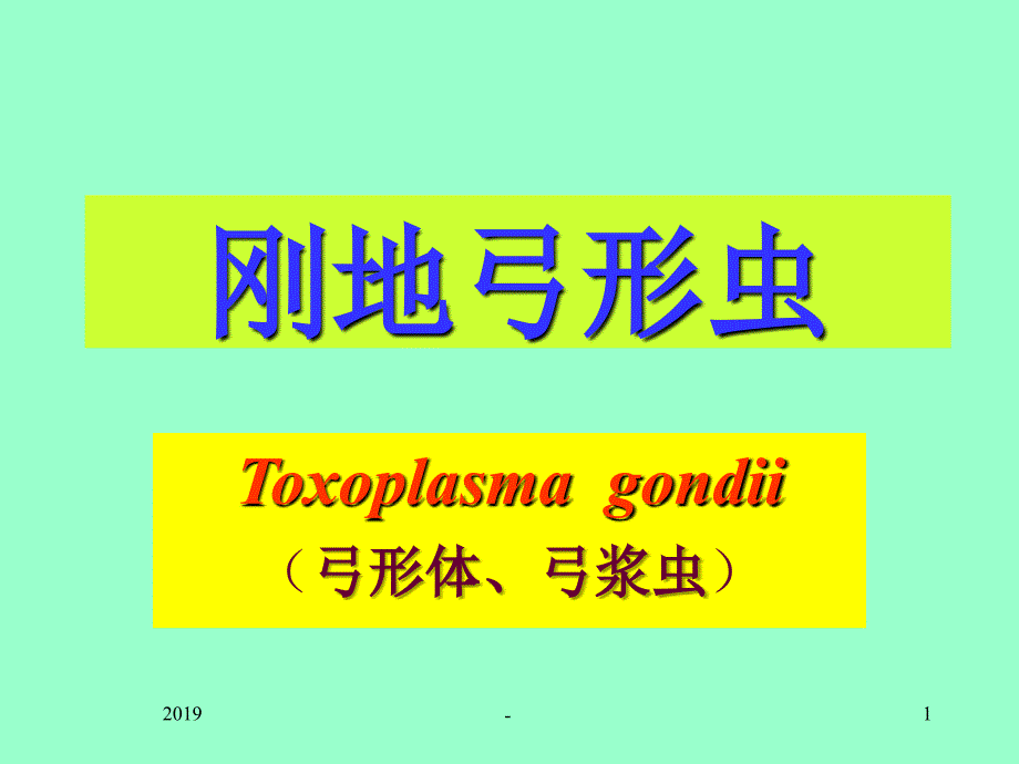 寄生虫学第十四讲弓形虫讲解ppt课件_第1页