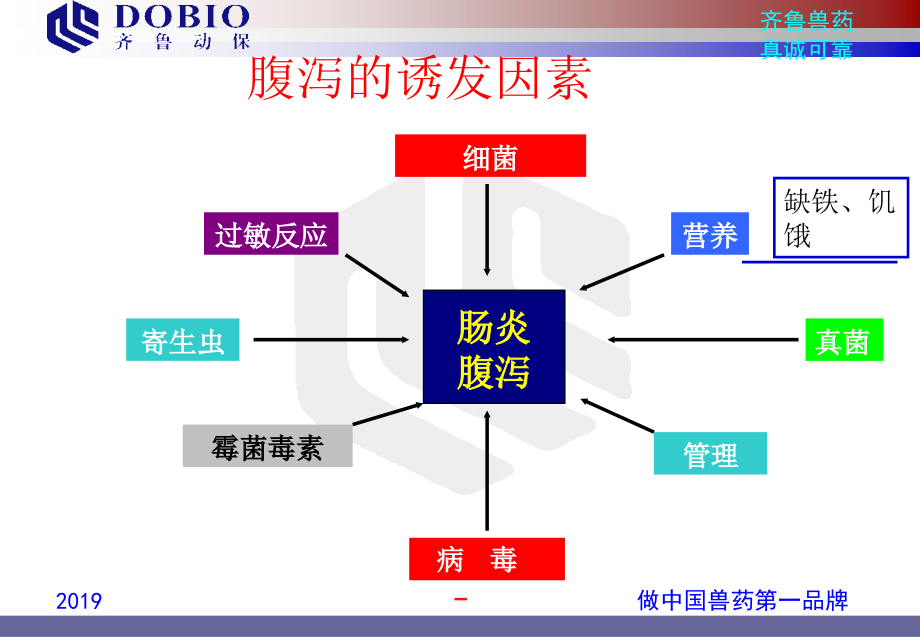 猪腹泻病的综合防治ppt课件_第3页