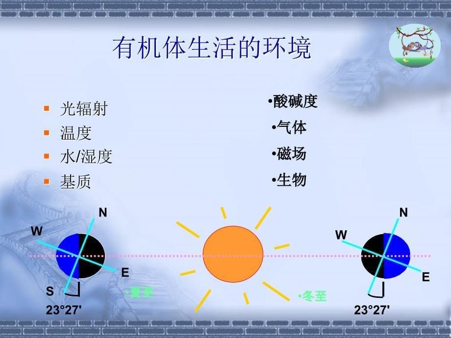 生物地理学p整理.ppt_第5页