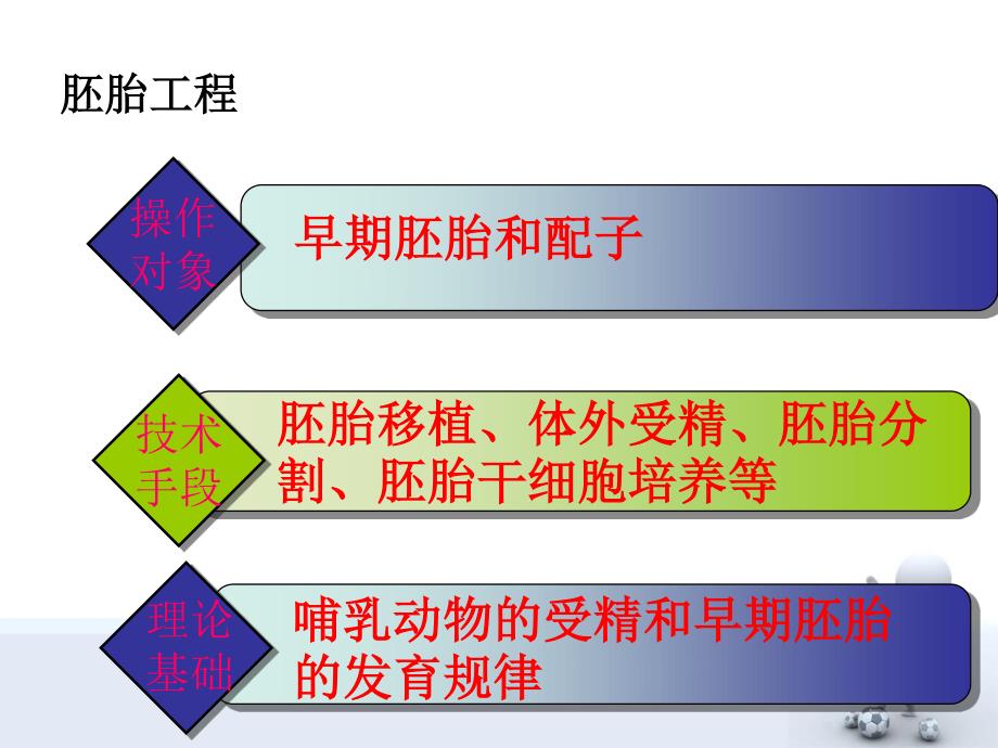 体内受精和早期胚胎发育(公开课)PPT精选课件_第3页