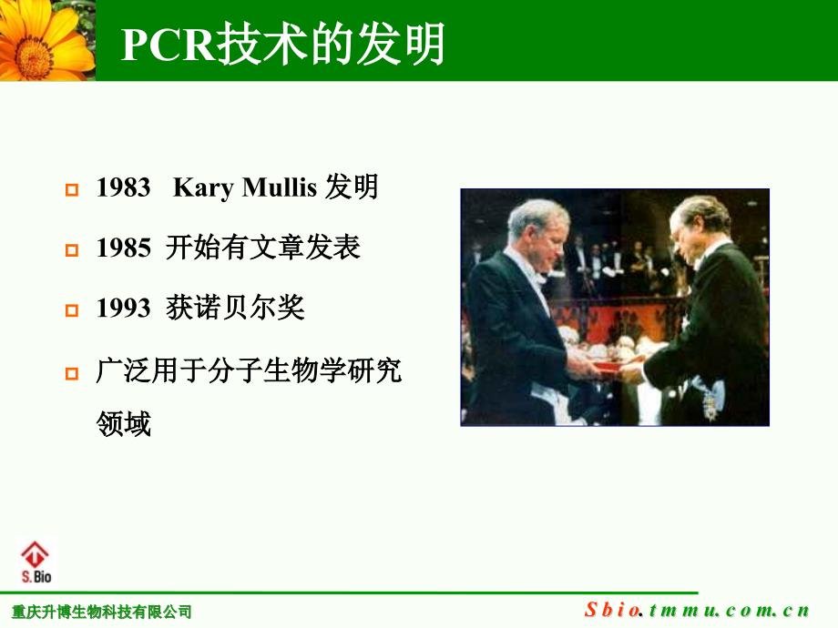 PCR、RT-PCR常见问题及分析(2020年整理).ppt_第2页