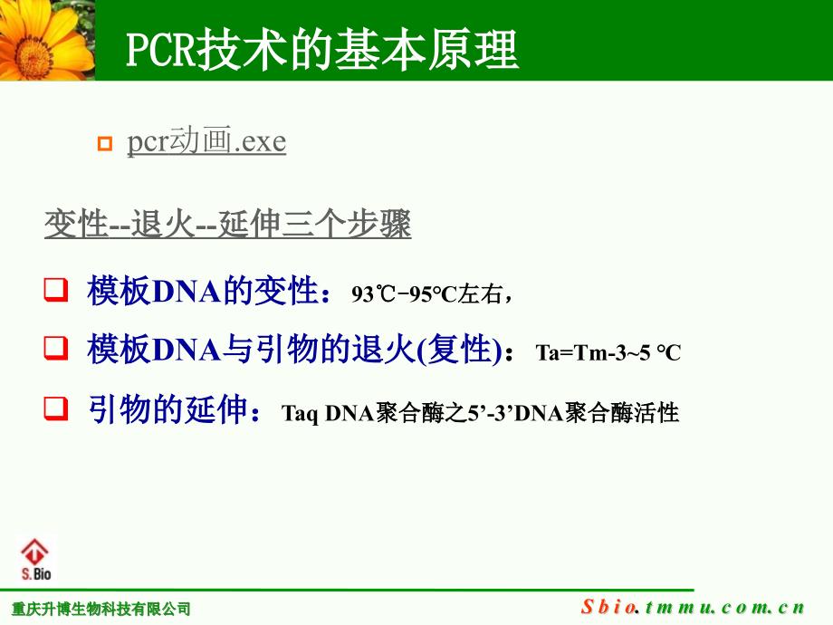 PCR、RT-PCR常见问题及分析(2020年整理).ppt_第3页