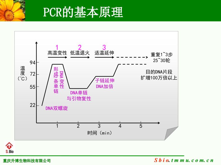 PCR、RT-PCR常见问题及分析(2020年整理).ppt_第4页
