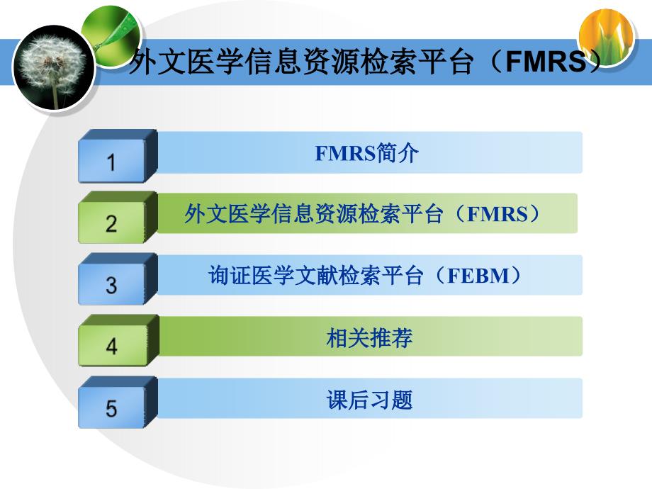 紫云英高效根瘤菌的高密度培养与菌剂研究整理.ppt_第2页