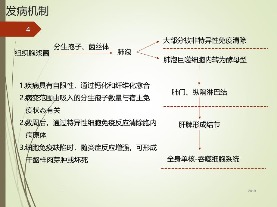 组织胞浆菌病ppt课件_第4页