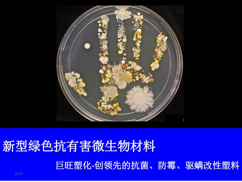 新型绿色抗有害微生物改性塑料抗菌、防霉、驱螨纤维ppt课件_第1页