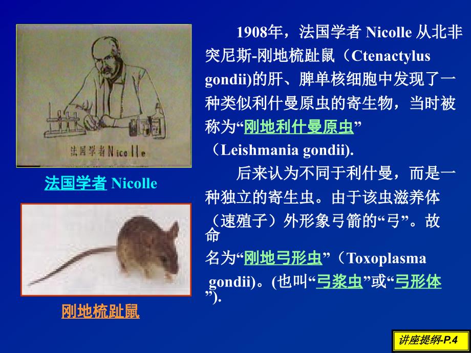 弓形虫与弓形虫病研究近况-(1)_第4页