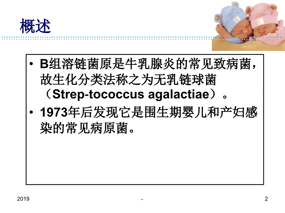 组链球菌感染ppt课件_第2页