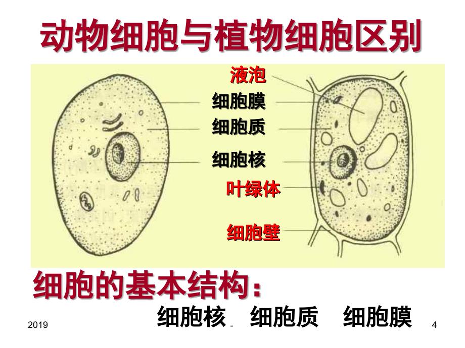 生物多样性浙教版模板ppt课件_第4页