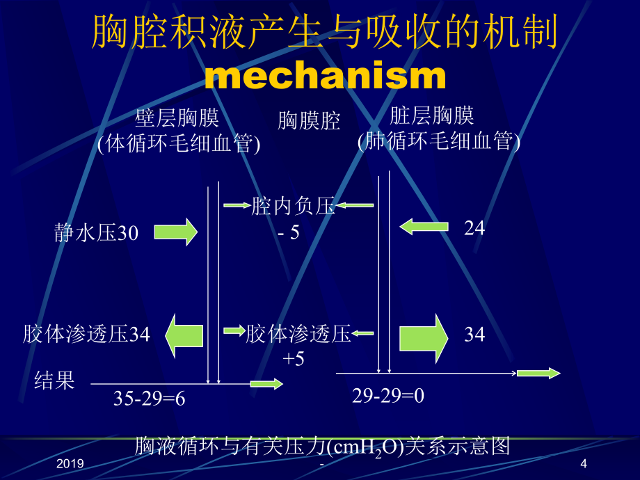 胸腔积液教案版ppt课件_第4页