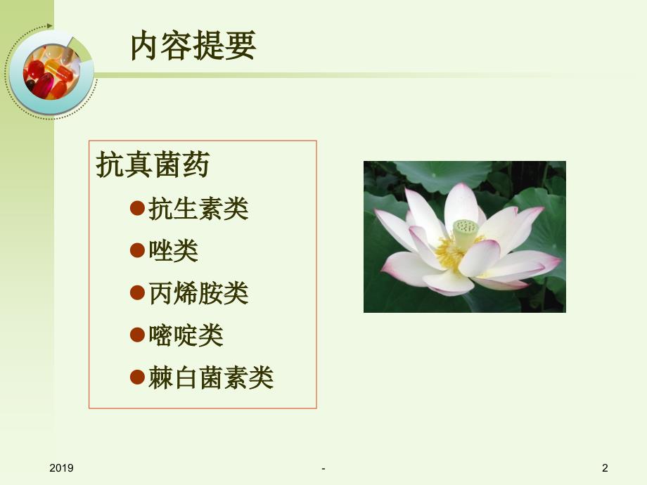 44抗真菌药杨_第2页