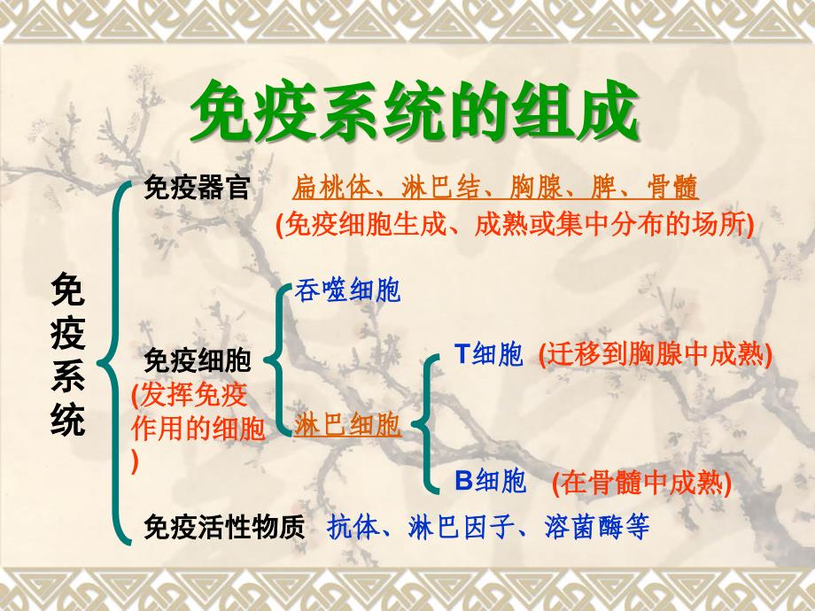 《细胞专题》学案(2020年整理).ppt_第3页