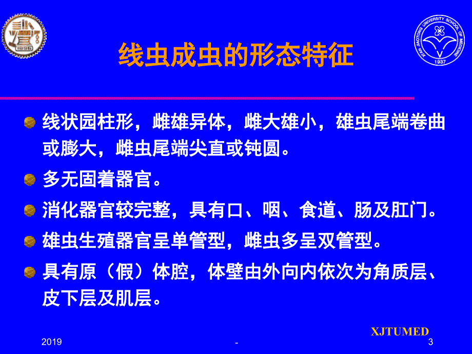 线虫概述及钩虫ppt课件_第3页