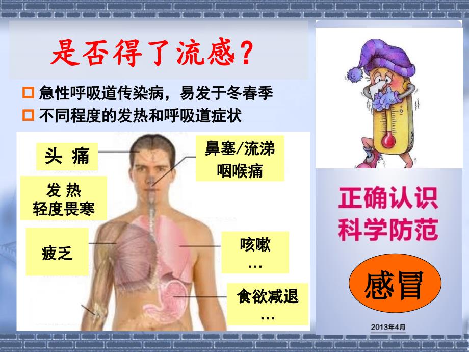 流感与饮食调节整理.ppt_第2页