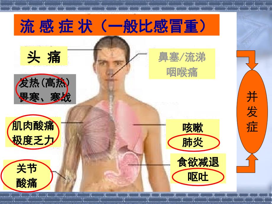 流感与饮食调节整理.ppt_第4页