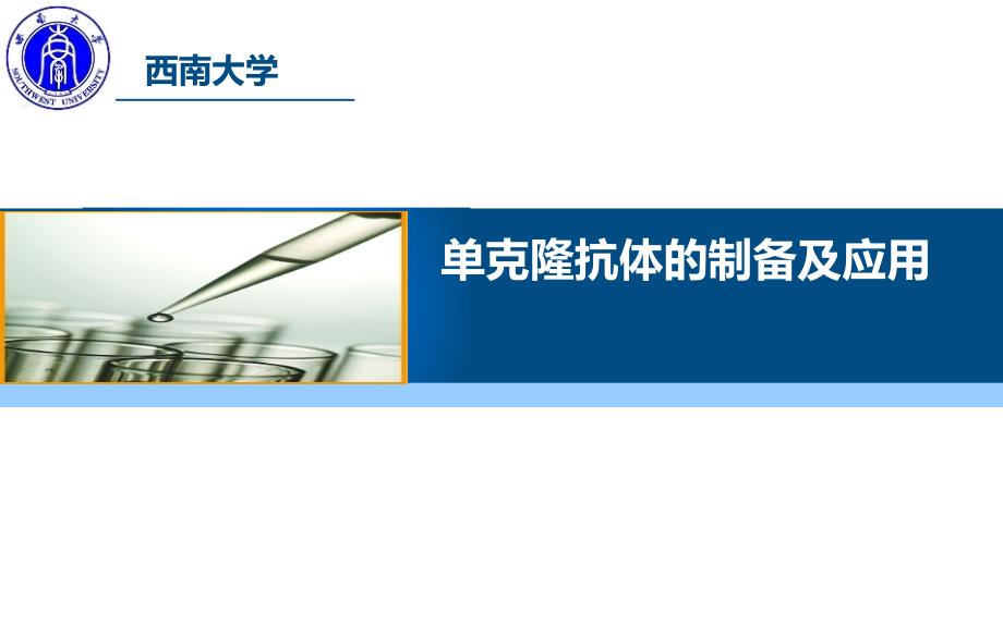 单克隆抗体的制备及应用说课讲解_第1页