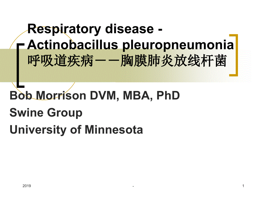 呼吸系统疾病及其它细菌性疾病ppt课件_第1页