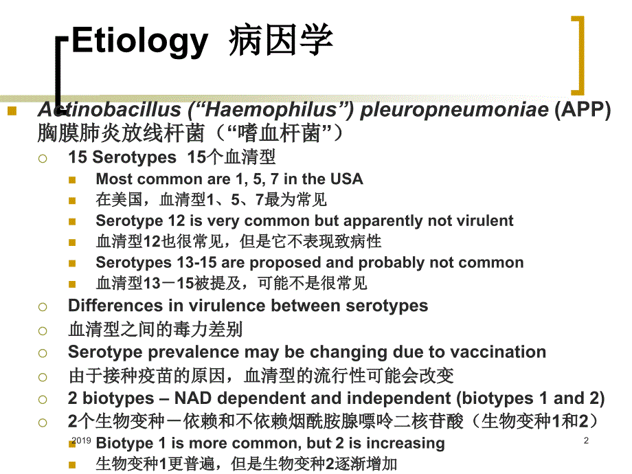 呼吸系统疾病及其它细菌性疾病ppt课件_第2页