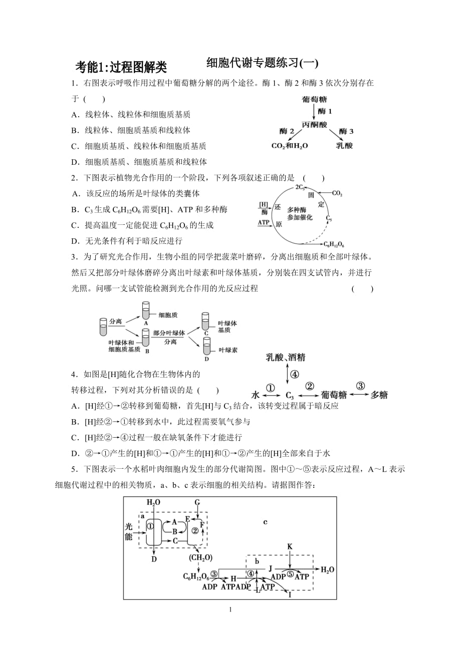 细胞代谢专题练习(一)_第1页