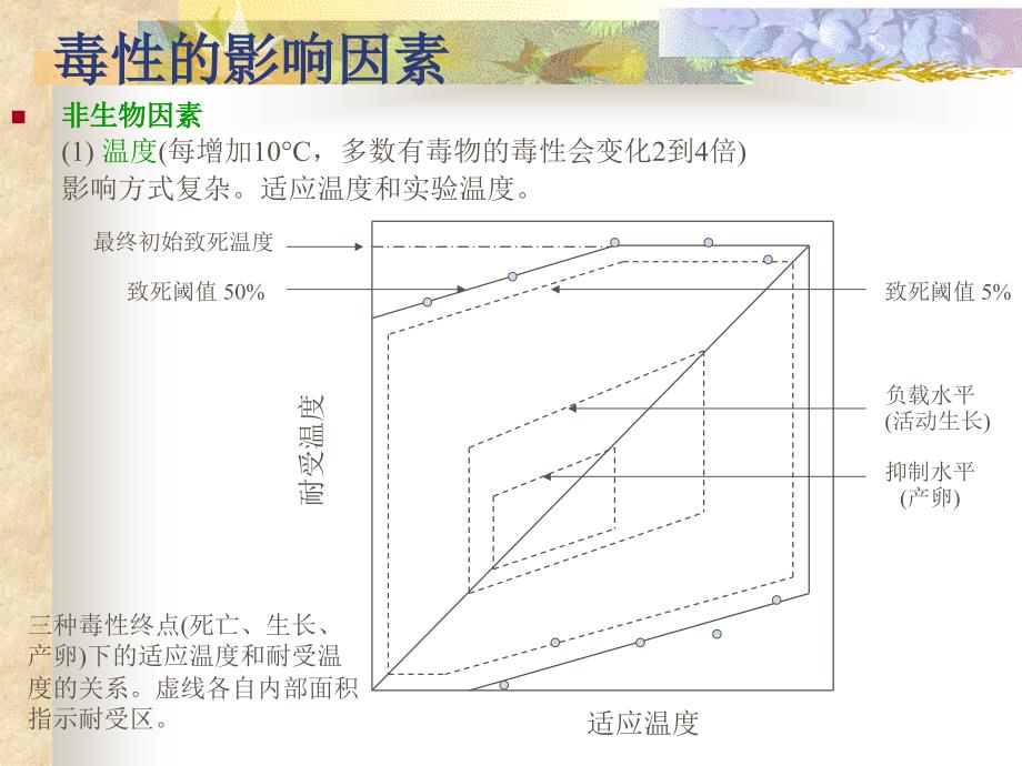 生态毒理学研究方法P整理.ppt_第3页