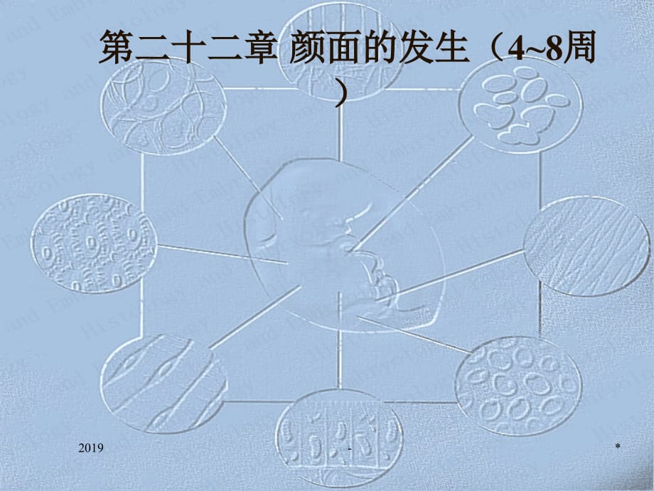 最全组织和胚胎学ppt课件_第1页