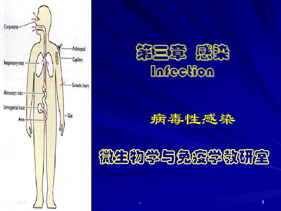 感染病毒性感染ppt课件_第1页