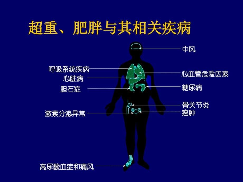 中国成人超重和肥胖症预防控制指南(2020年整理).ppt_第5页