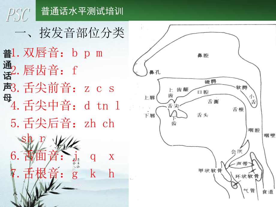 普通话水平测试培训P整理.ppt_第4页