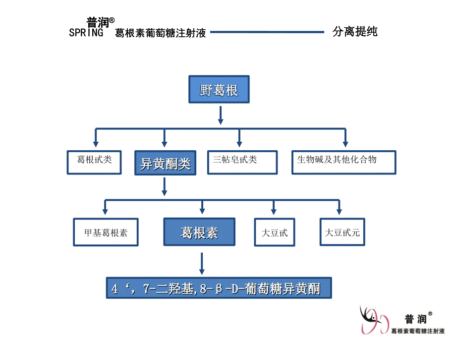 普润－葛根素葡萄糖注射液整理.ppt_第4页