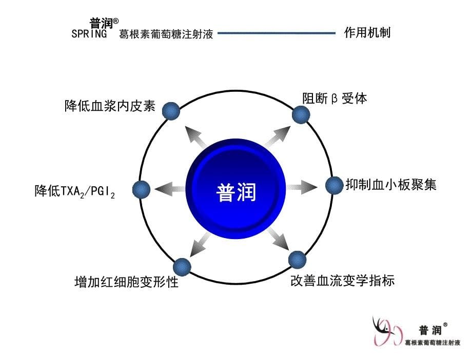 普润－葛根素葡萄糖注射液整理.ppt_第5页