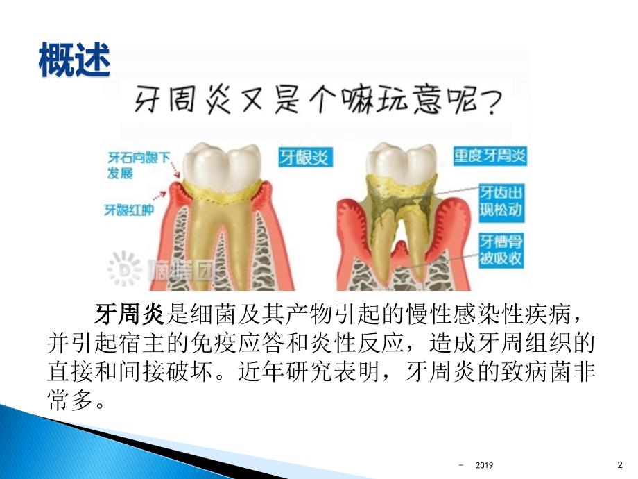 牙龈卟啉单胞菌ppt课件_第2页