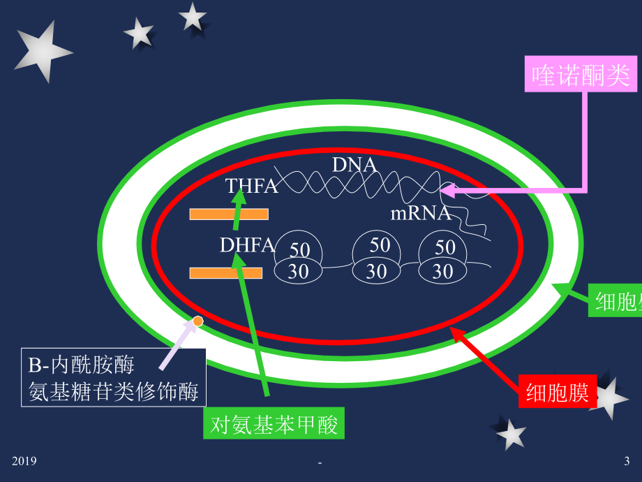 协和抗生素ppt课件_第3页