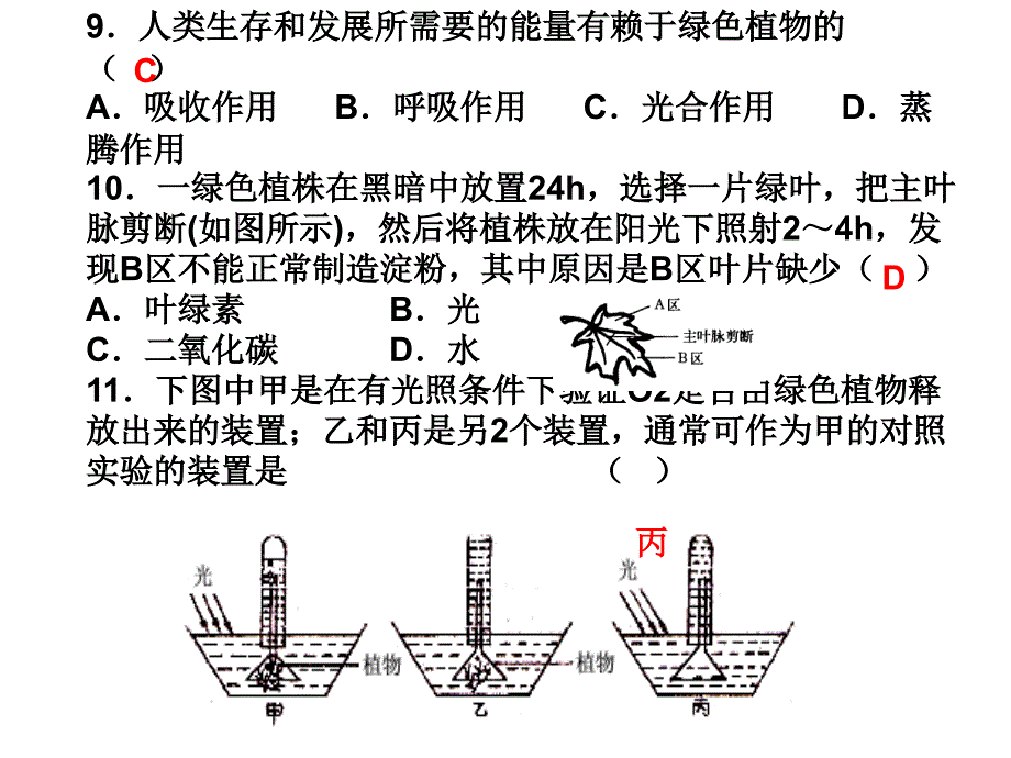 我们周围的生物习题整理.ppt_第4页