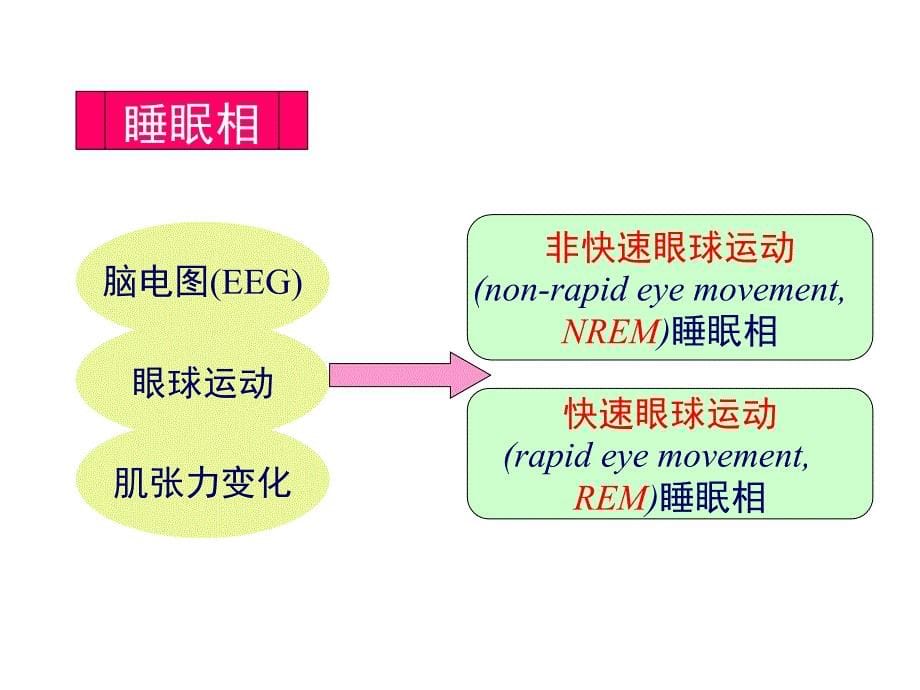 失眠的诊断治疗整理.ppt_第5页