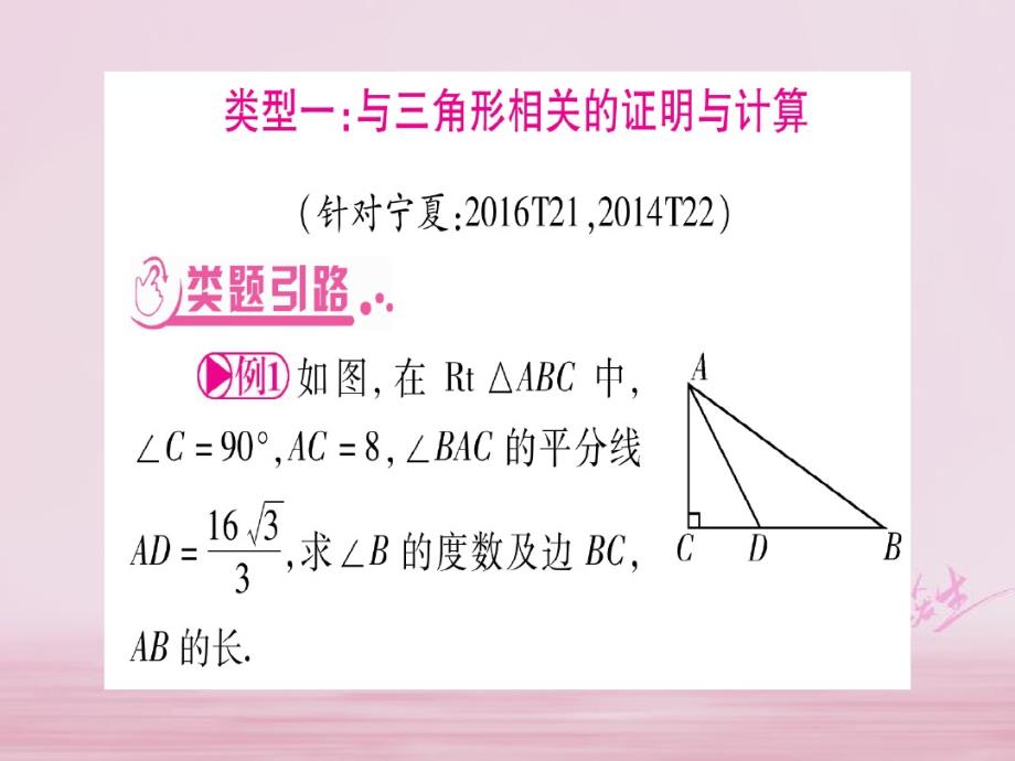 宁夏专版2018中考数学二轮专项突破(5)三角形四边形中的证明与计算课件..pdf_第2页